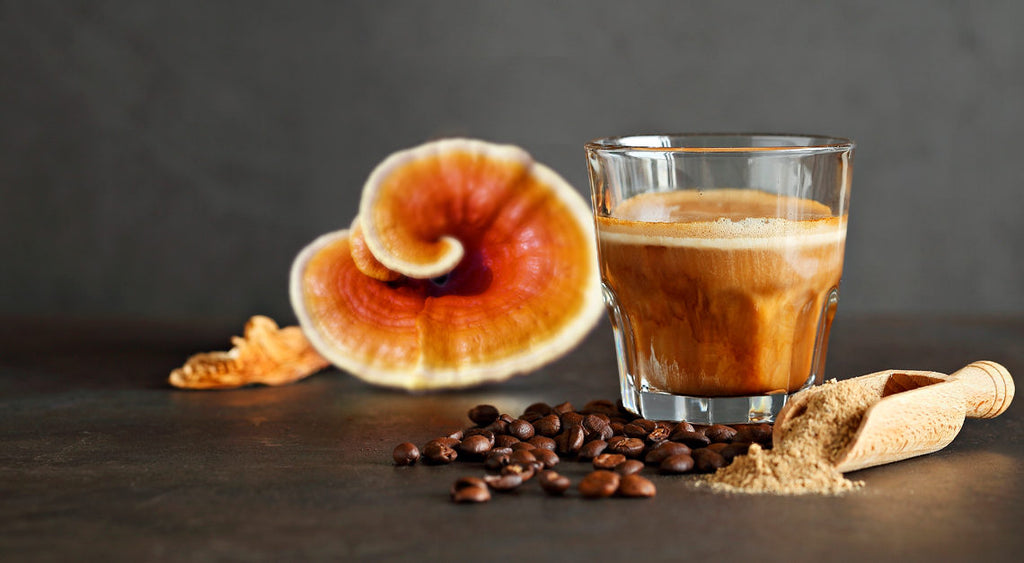 Bold and flavorful gourmet coffee with 100% certified organic Ganoderma lucidum